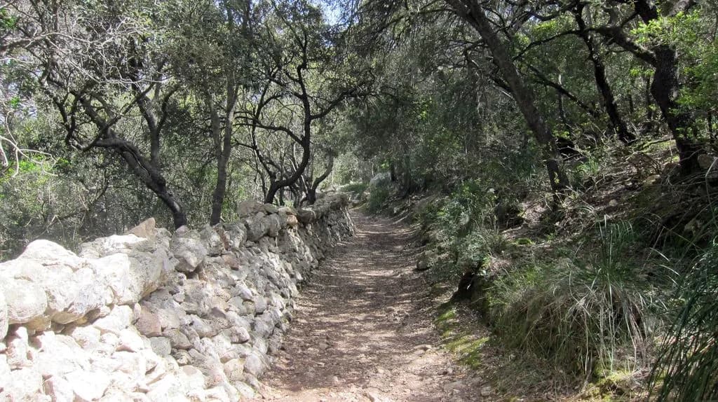 uploads 2020 07 Weg nach Esporles