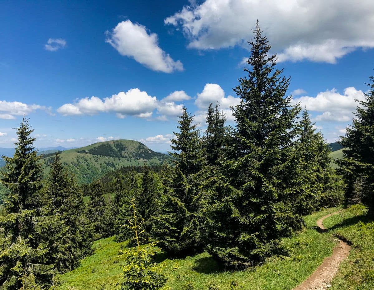 Große Fatra