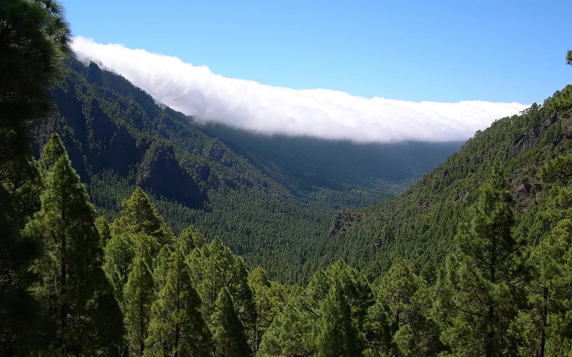 La Palma — Landschaft