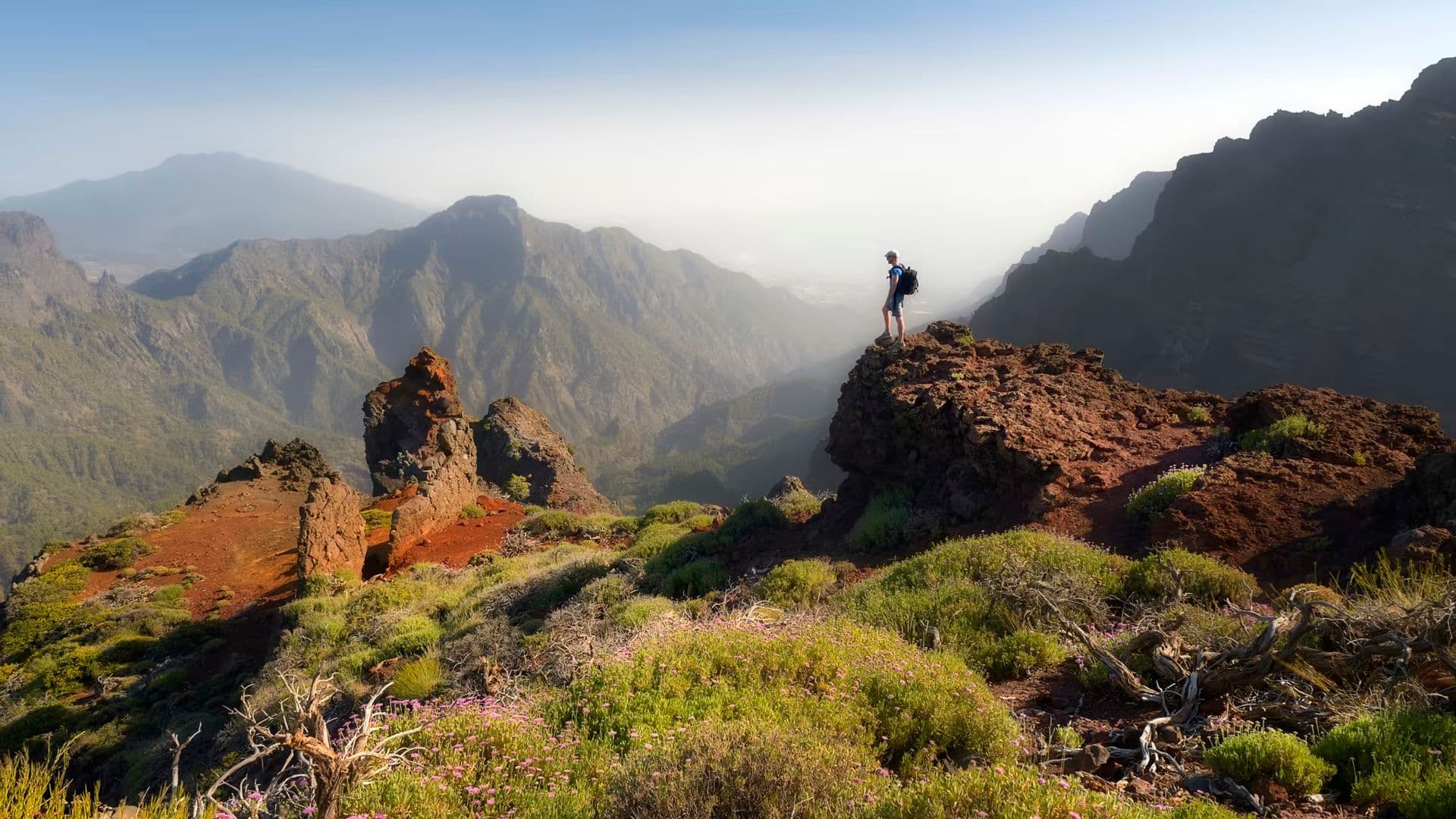 uploads 2020 07 la palma aufmacher