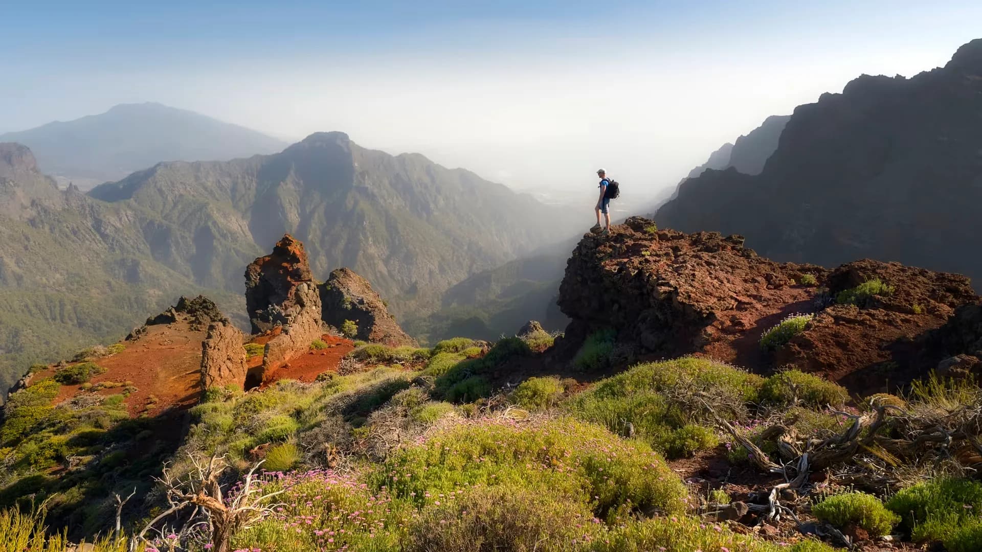 uploads 2020 07 la palma aufmacher