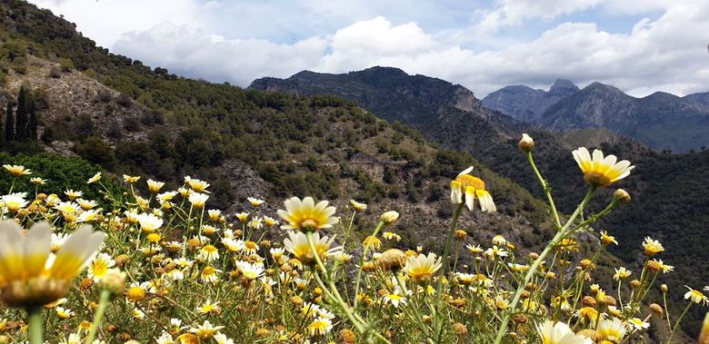 Wandern, Trekking und Naturerlebnisreisen in Europa