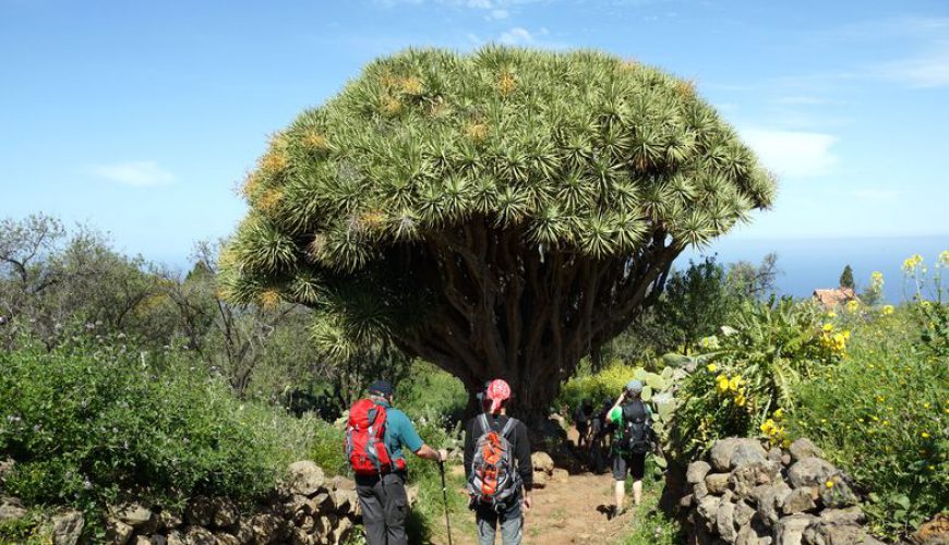 Wandern, Trekking und Naturerlebnisreisen in Europa