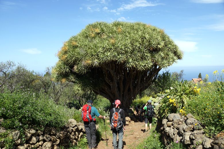 Wandern, Trekking und Naturerlebnisreisen in Europa