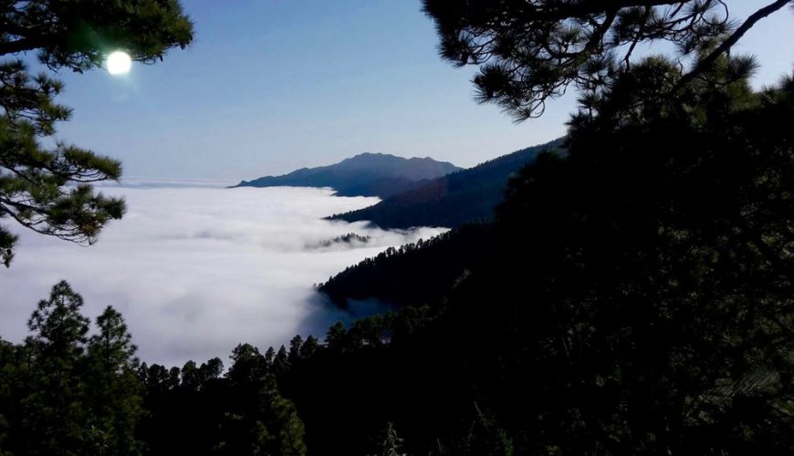 Bergwelt La Palma