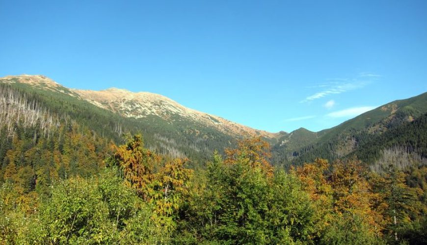 Dumbier: der höchste Berg der Niederen Tatra