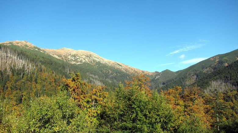 Dumbier: der höchste Berg der Niederen Tatra