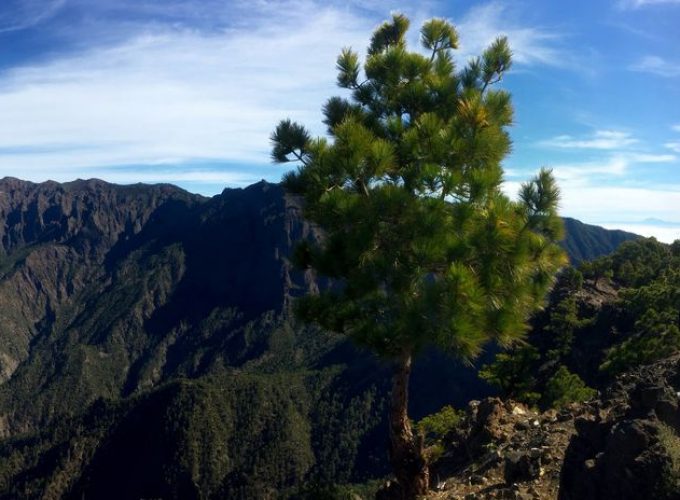 Wandern, Trekking und Naturerlebnisreisen in Europa