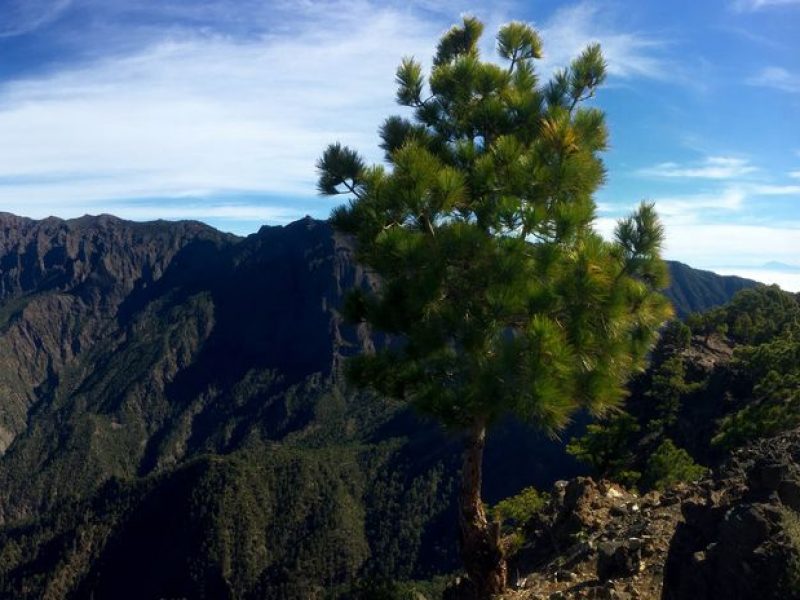 Wandern, Trekking und Naturerlebnisreisen in Europa