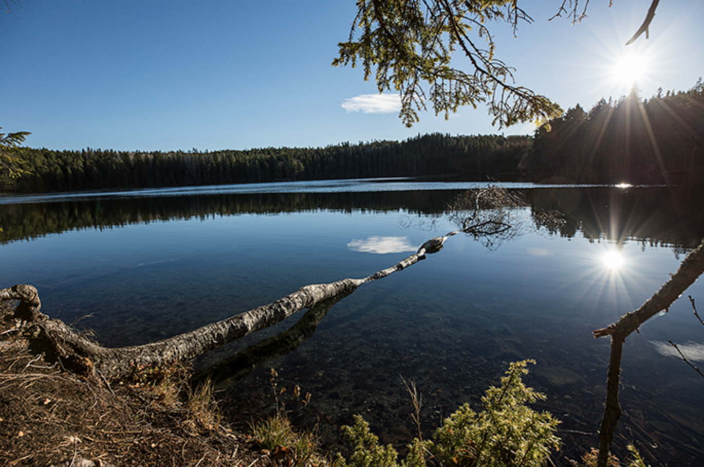 8.Tag: Tiefe Wälder, weite Wiesen und Baden im See Balestjärn