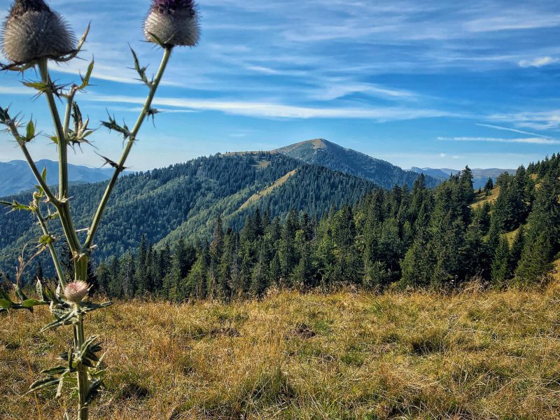 Wandern, Trekking und Naturerlebnisreisen in Europa